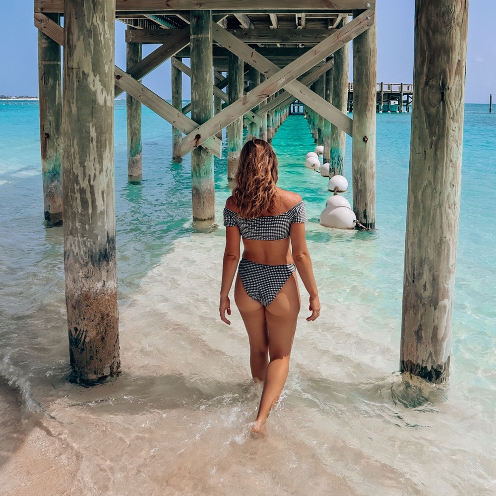 Fashion nova high picnic bikini set